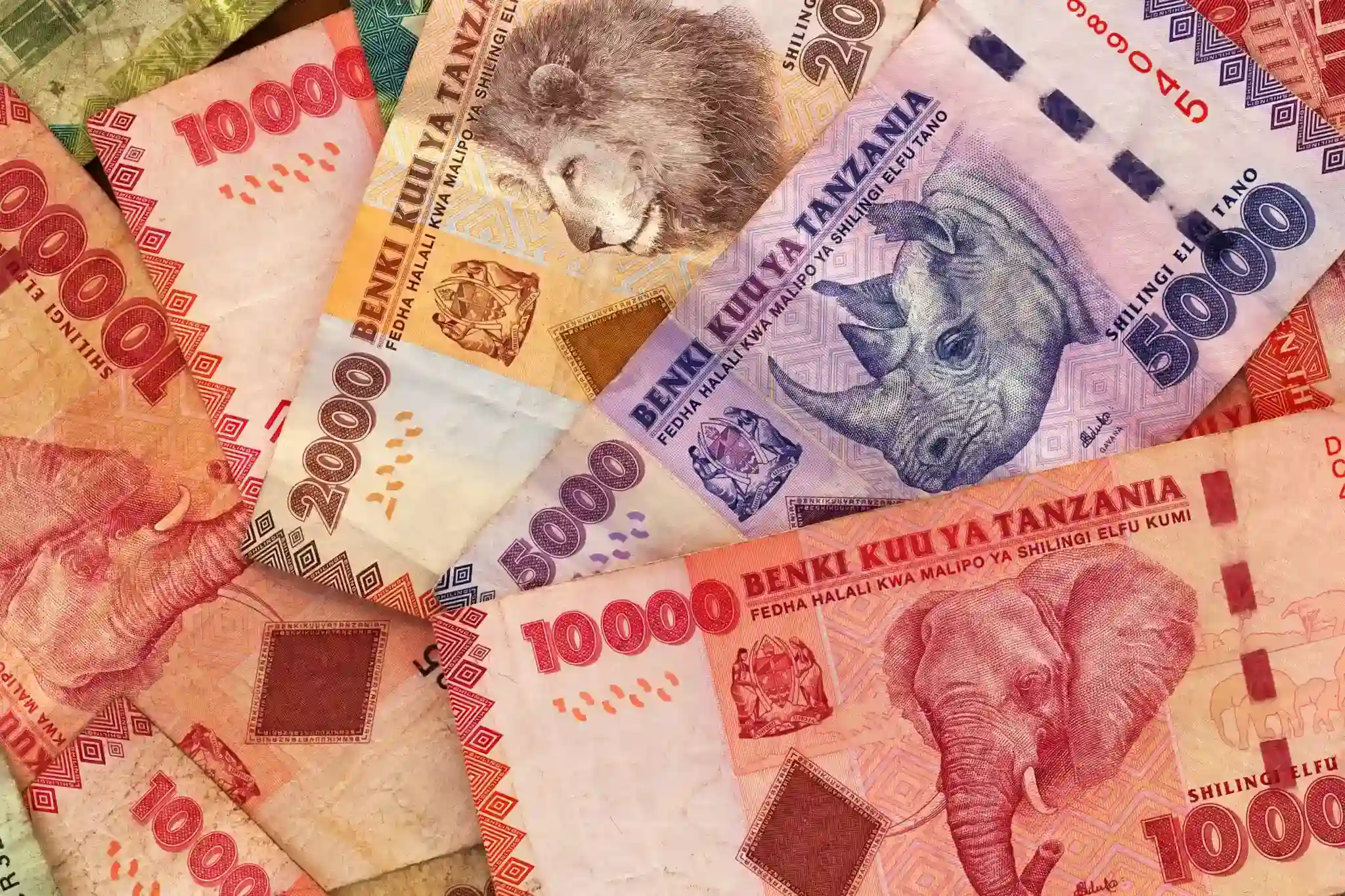 Tanzanian Shilling (TZS): 13th lowest currencu in the world