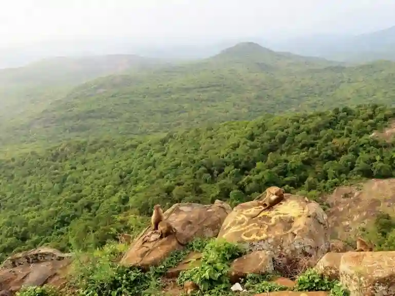 BR Hills