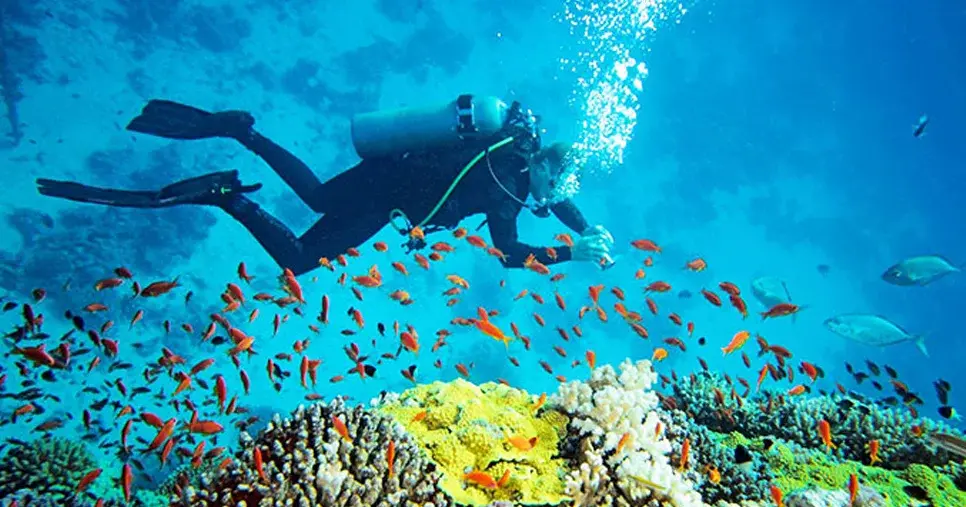 Scuba Diving at Hikkaduwa