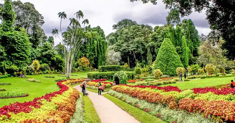 Explore Royal Botanical Garden