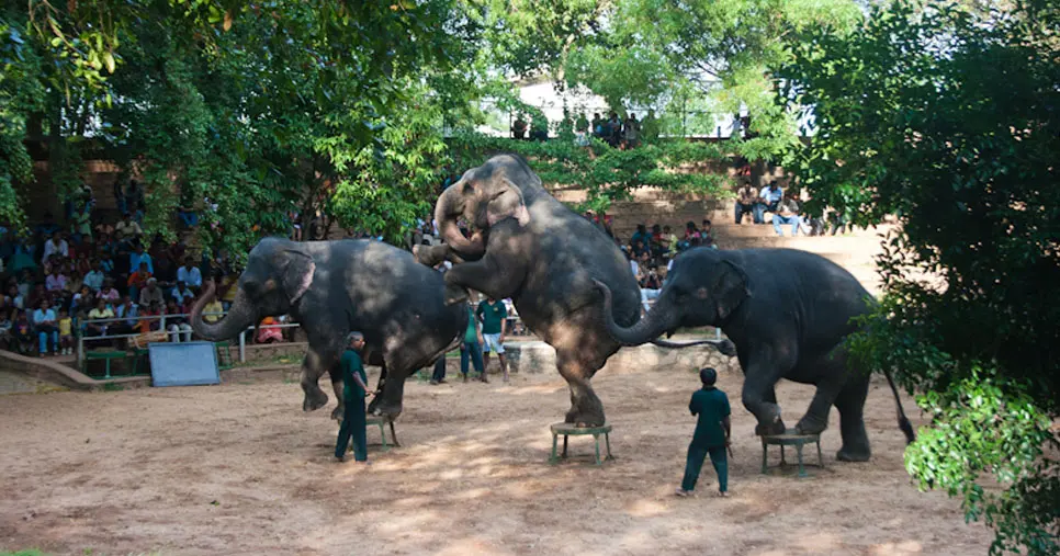 Dehiwala Zoo
