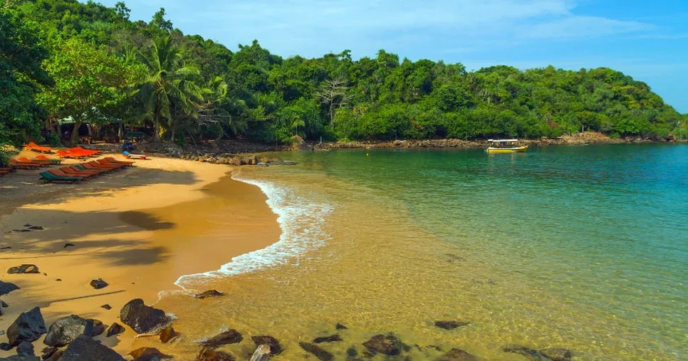 Jungle beach