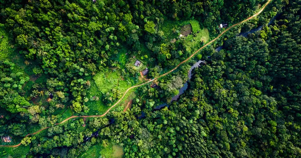 Sinharaja Forest Reserve