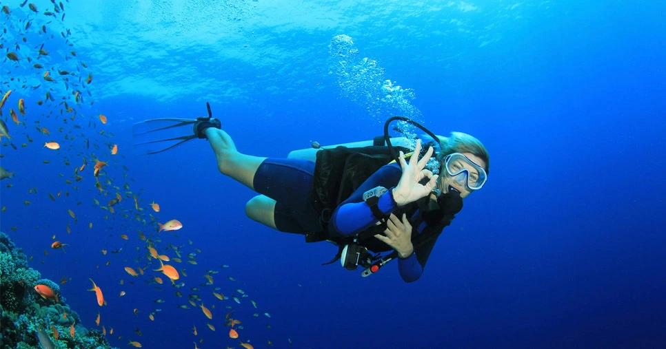 Scuba Diving in the Arabian Gulf