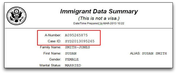 Immigrant Data Summary