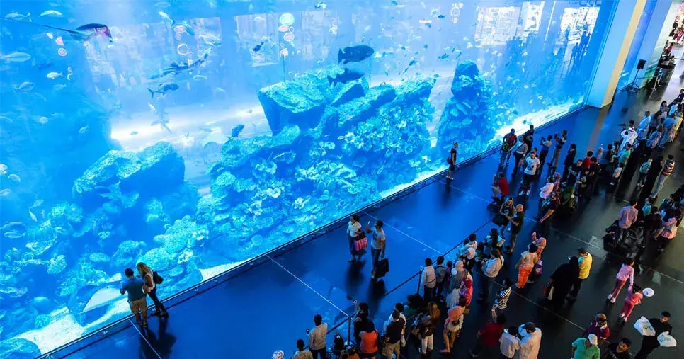 See Marine Life at the Aquarium