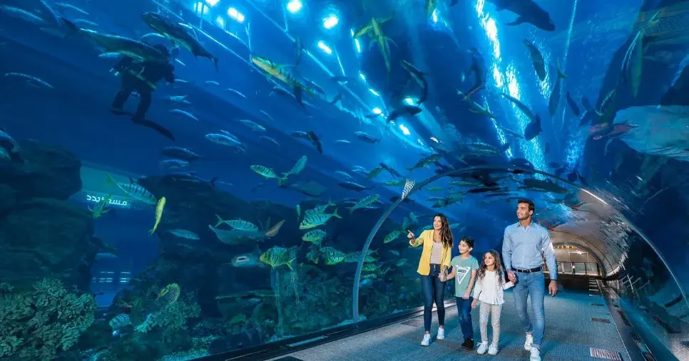 Dubai Aquarium and Underwater Zoo