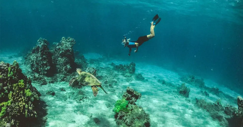 Scuba Dive
