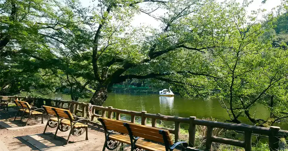 Inokashira Park