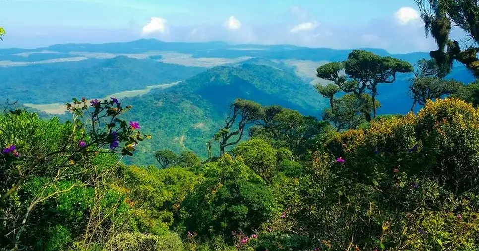 Horton Plains National Park