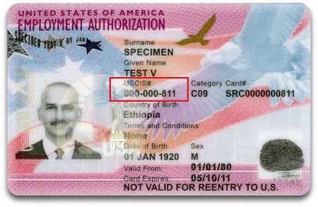 EAD (Employment Authorization Document)