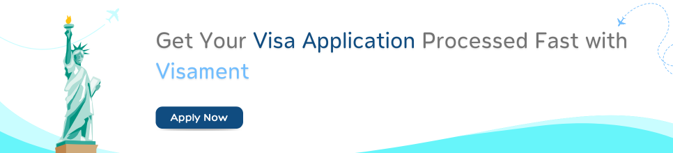 Apply Now Visa Application