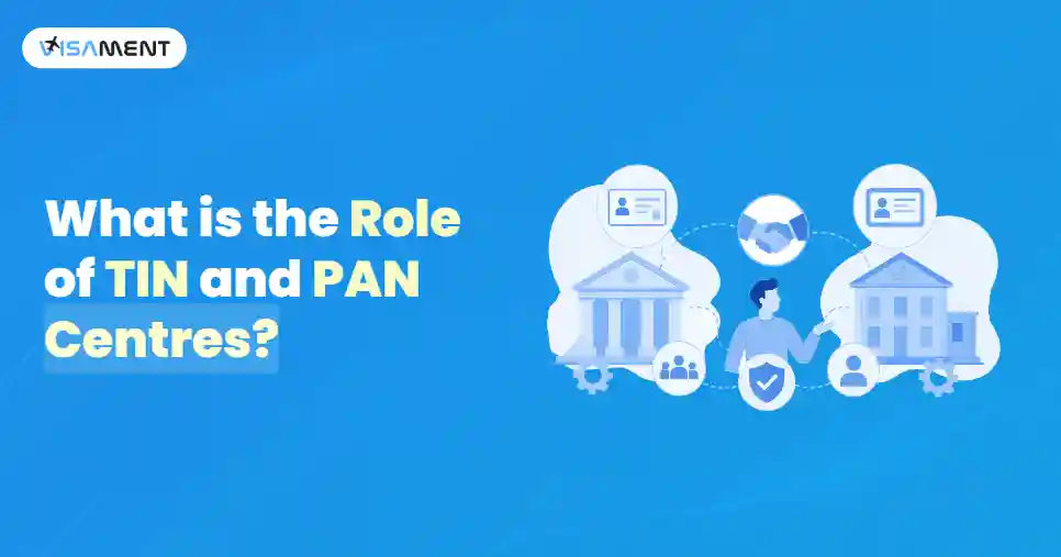 What is the Role of TIN and PAN Centres?